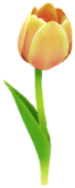 Yellow tulip Big Flower icon.png