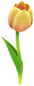 File:Yellow tulip Big Flower icon.png