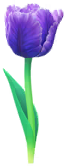File:Blue parrot tulip Big Flower icon.png