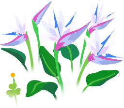 File:White strelitzia flowers icon.png