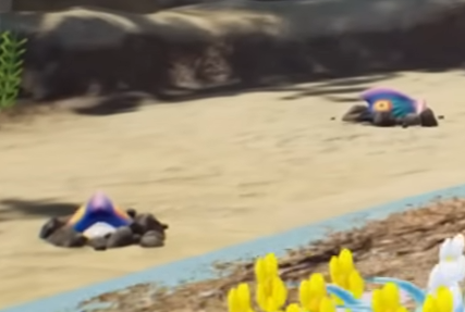 File:Pikmin 4 Joustmites Buried.png