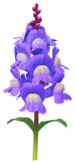 File:Blue snapdragon Big Flower icon.png