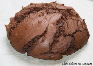 File:Chocolate cookie (real world).jpg