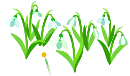 File:White snowdrop flowers icon.png