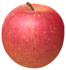 File:Apple icon.png
