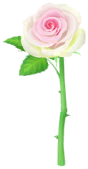 File:White anniversary rose Big Flower icon.png