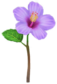 File:Blue hibiscus Big Flower icon.png