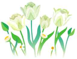 File:White parrot tulip flowers icon.png