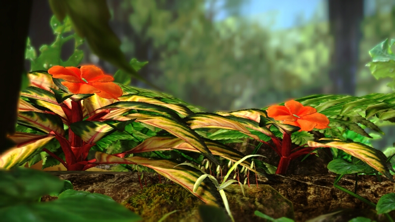 File:Tropical Wilds Flowers.jpg