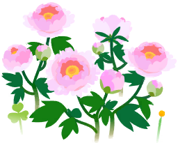 File:White peony flowers icon.png