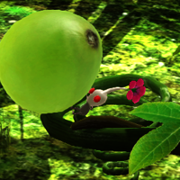 File:Tropical Forest Remix icon.png