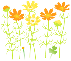 File:Yellow cosmos flowers icon.png
