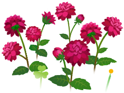 File:Red dahlia flowers icon.png