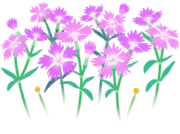 File:Red dianthus flowers icon.png