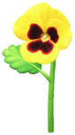 Yellow pansy Big Flower icon.png