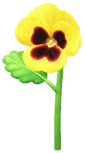 File:Yellow pansy Big Flower icon.png
