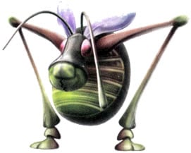 Artwork of the Antenna Beetle.