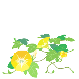 File:Yellow morning glory flowers icon.png