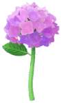 File:Red hydrangea Big Flower icon.png