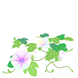 File:White morning glory flowers icon.png