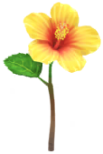 Yellow hibiscus Big Flower icon.png