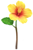 File:Yellow hibiscus Big Flower icon.png