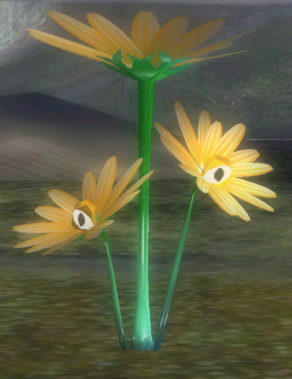 File:Creeping Chrysanthemum hiding.png