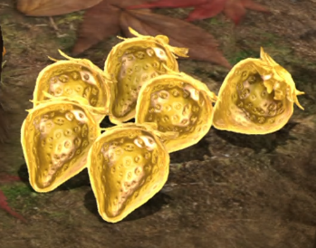 File:Group Golden Sunseeds.png