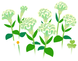 File:White celosia flowers icon.png
