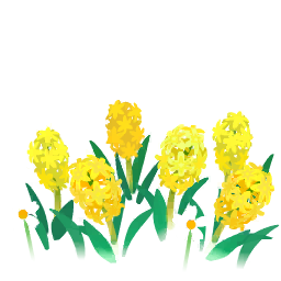 File:Yellow hyacinth flowers icon.png