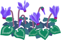 File:Blue cyclamen flowers icon.png