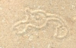 A sand drawing of a Red Pikmin, found in the level.