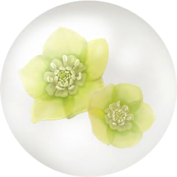 File:Yellow helleborus nectar icon.png