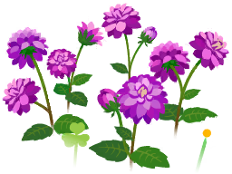 File:Blue dahlia flowers icon.png