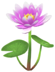 Red water lily big flower in Pikmin Bloom