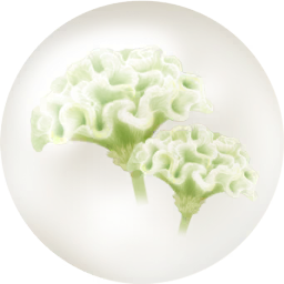 File:White celosia nectar icon.png
