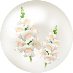 File:White snapdragon nectar icon.png