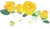 Yellow rose flowers icon.png