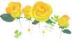 File:Yellow rose flowers icon.png
