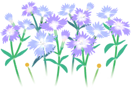File:Blue dianthus flowers icon.png