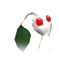The icon for a White Pikmin on the leaf stage.