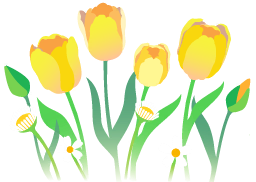 File:Yellow tulip flowers icon.png