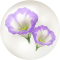 Thumbnail for version as of 05:15, September 7, 2026