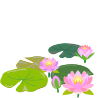 Red water lily flowers icon.png