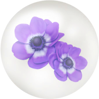 Blue windflower nectar icon.png