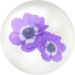Icon for blue windflower nectar.
