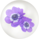 Icon for blue windflower nectar.