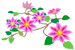 Texture for red clematis flowers on the map in Pikmin Bloom.