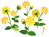 Yellow dahlia flowers icon.png