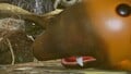 The corpse of an Orange Bulborb, seen from the side. Notice its eyes stick out slightly.